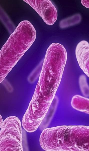 Legionella Risk Assessment